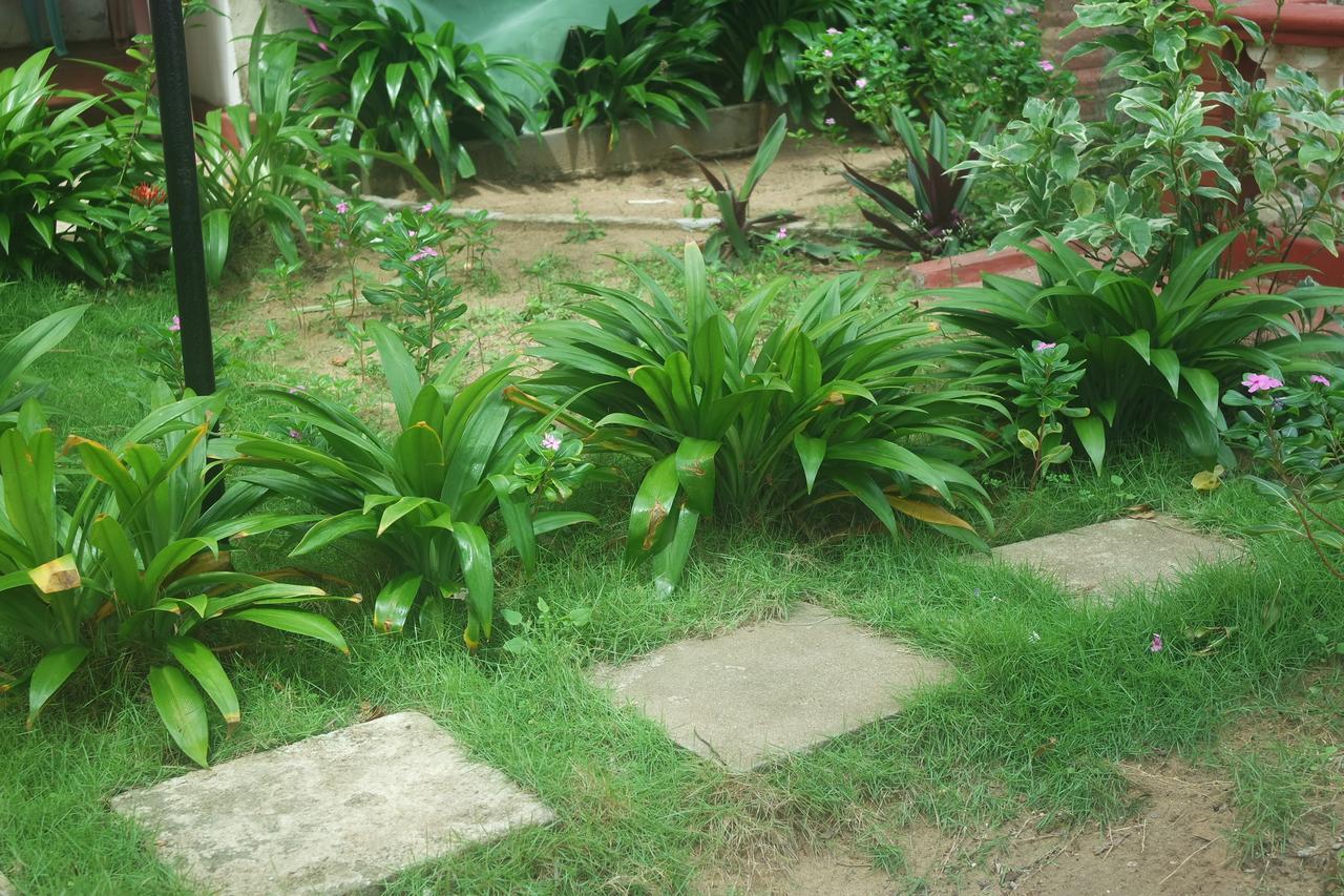 Dephani Beach Hotel Negombo Buitenkant foto